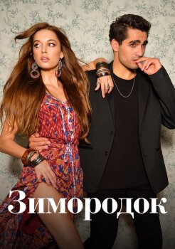 Зимородок Зимородок