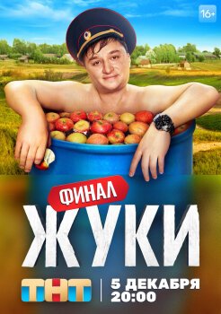 Жуки Жуки